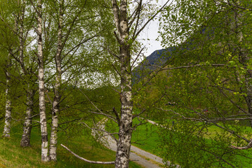 Skjolden - Norway - May 16 - 2023 - Mountain