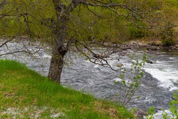Skjolden - Norway - May 16 - 2023 - River