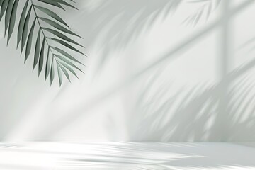 Fototapeta premium white foliage plant tree shadow design nature background light sunlight silhouette texture palm wall leaves sunny botany effect jungle pattern tropic environment abstract