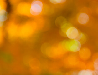 Fototapeta premium Bokeh autumn leaves. Fall blurred background orange color. Fall nature. Blurred bokeh background. Autumn defocused nature. Blur backdrop of autumn leaves. Unfocused colorful season. Bokeh lights
