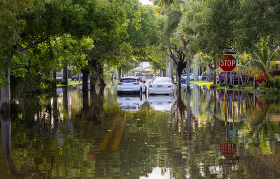 In the wake of the 2024 flood in Hallandale Beach, Florida, this image vividly captures a neighborhood street transformed by the flooding. Vehicles are seen partially submerged as floodwaters cover th
