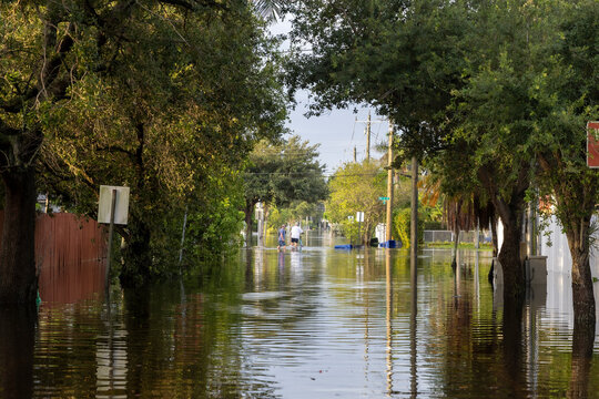 Captured in the aftermath of the 2024 flood in Hallandale Beach, Florida, this powerful image showcases a suburban neighborhood submerged under floodwaters. Palm trees stand tall amidst the rising wat