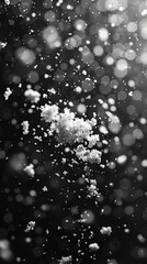 Fototapeta premium Snow falling on against a dark night background. 