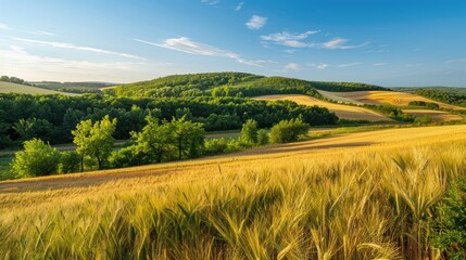 Obraz premium Scenic summer vista with wheat fields wooded hill trees and clear sky emphasizing nature s beauty eco conservation and farming