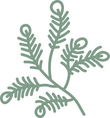 Ornaments Hand Drawn Nature Leaf Element 