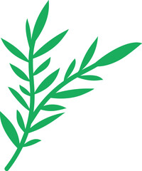 Obraz premium Ornaments Hand Drawn Nature Leaf Element 