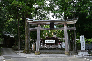 土佐神社