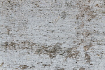 wood texture background