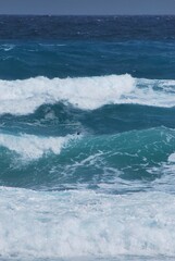 Si hay algo que caracteriza a Miami es que por donde quiera podemos ver la presencia del agua ya sea del mar,rios o canales.