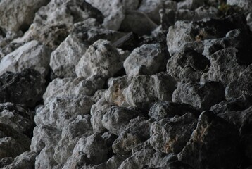 Mientras se camina a nuestro lado se encuentran muchas escenas,solo basta apuntar el objetivo al lugar correcto.
