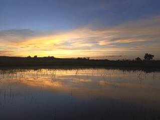 swamp at sunset tranquil scene nature background