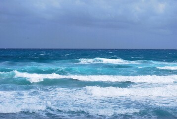 Si hay algo que caracteriza a Miami es que por donde quiera podemos ver la presencia del agua ya sea del mar,rios o canales.