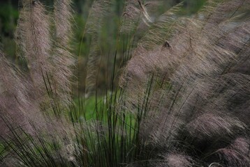 Un verdor que es impresionante,asi se nos presenta Miami,hacia donde mires estara el verde presente!