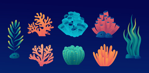 Collection of elements such as coral, coral reefs, sponges, and seaweed in the ocean