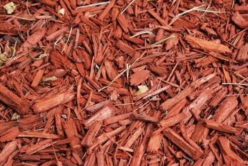 Mientras se camina a nuestro lado se encuentran muchas escenas,solo basta apuntar el objetivo al lugar correcto.