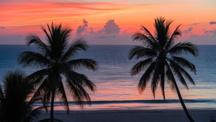 A serene beach at sunset with vibrant orange and pink hues reflecting off the calm ocean water, silhouetted palm trees in the foreground, and a clear sky with a few scattered clouds.