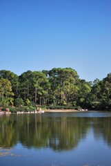 Si hay algo que caracteriza a Miami es que por donde quiera podemos ver la presencia del agua ya sea del mar,rios o canales.
