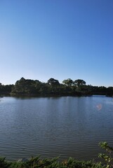 Con esa cantidad de agua se da esa combinacion perfecta para encontrar un estado muy verde y cubierto de flores todo el año.