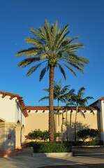 Si bien Miami es una ciudad de estados Unidos,su arquitectura ademas de ser moderna tiene un toque mediterraneo que la hacen muy particular.