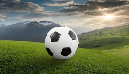 soccer ball on green grass, soccer ball on the grass field