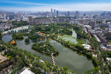Urban Green Oasis Amidst Skyline