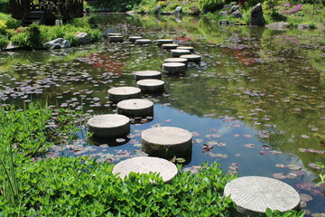 Circle stepping stones in garden pond