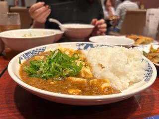 麻婆飯