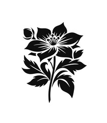 Abstract Black Flower Silhouette on White Background