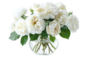 White Roses, arranged elegantly in a classic glass vase , isolated on white background.