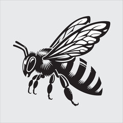 the bee vector design illustrator and best design