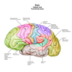 Основные RGB