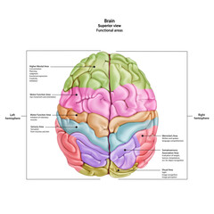 Основные RGB