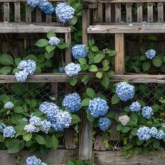 A rustic wooden bench nestled under a large hydrangea bush with blooming blue hydrangeas, offering a tranquil spot for relaxation and reflection--style raw