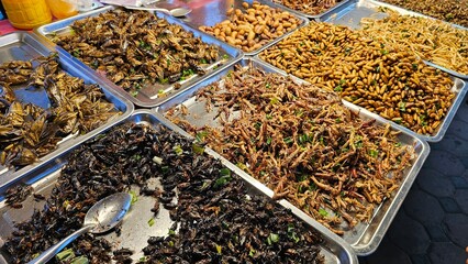 Famous street food in Thailand, close-up  fried insects on food stalls, Thailand highlights, Thailand tour, local foods © Mercury.Line