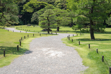 Trees in a beautiful Japanese garden