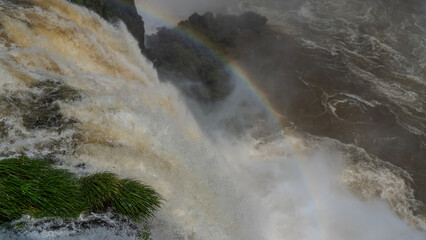The powerful foaming streams of the waterfall collapse from the edge of the cliff into the riverbed. Drops are visible. Rainbow in water spray. Green wet grass. Iguazu Falls. Brazil