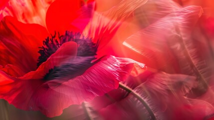 Magical poppy, macro shot, bright red petals with glowing outlines, soft ethereal light, high detail, surreal forest background. 