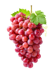 Red grape cluster with leaves isolated on white background.