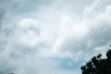 Fototapeta premium A cloudy sky with a tree in the background