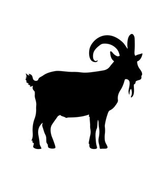 recommend clip art: Vector illustration of a black silhouette goat
