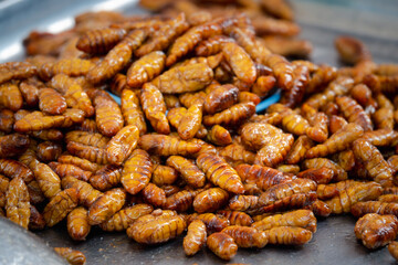 A pile of insects on a plate