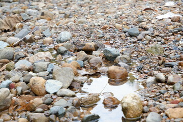 pebbles of mountains river
stone in the river ,beautiful stone in river background