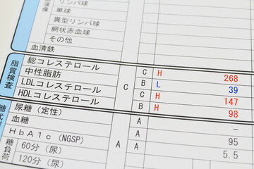 Obraz premium 脂質異常