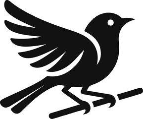 Obraz premium Adobe Illustrator Artwork