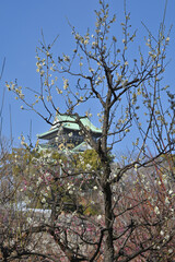 大阪城の梅