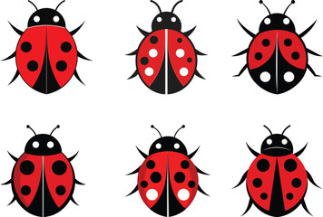 Ladybird vector illustration