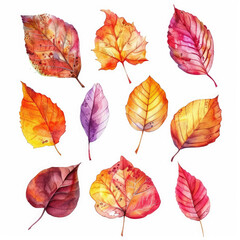 Fototapeta premium Watercolor painting of a collection of autumn leaves with vibrant colors isolated on a white background