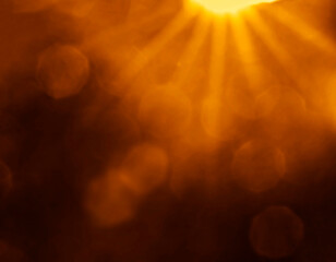 sunlight through leaves on tree, image blur bokeh background. Background yellow blur beautiful is the bokeh effect nature color. autumn time. fall season