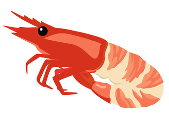 食材_ボイルむきエビ　頭付き