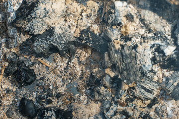 Burning wood in the campfire. Burnt wood to the state of coal. Bonfire during a picnic.